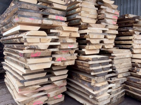 Sycamore boards cut at Vastern Timber