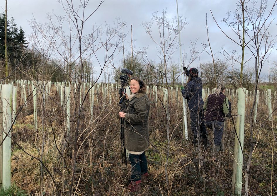 Charlotte Films Progeny Trial